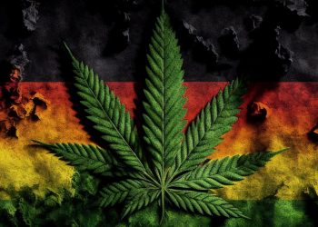 Deutschland im Rückschritt: Weitere Verschärfungen des CanG gefordert