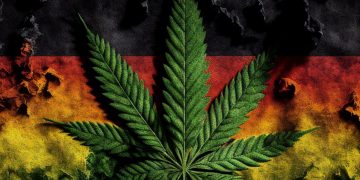 Deutschland im Rückschritt: Weitere Verschärfungen des CanG gefordert