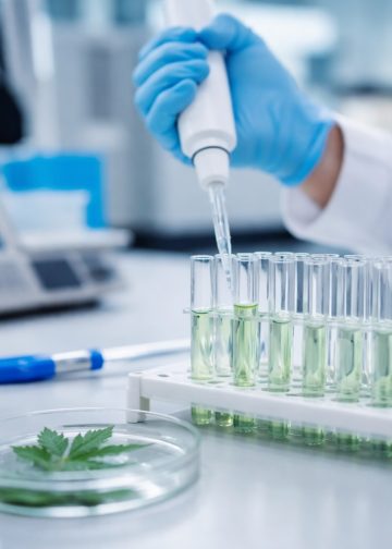 CBD gegen Methamphetamin-Sucht: Neuer Wirkmechanismus entdeckt