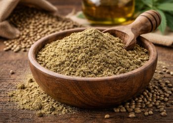 Hanfmehl: Warum das Nischenprodukt zum Lebensmittel der Zukunft wird