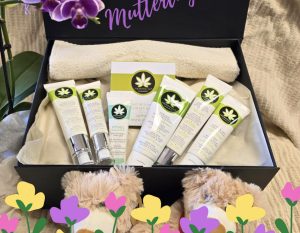 „Warum wir wieder Boxen machen“ – der Hanf Magazin Shop