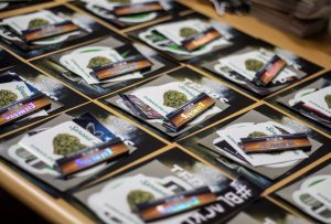 Vom Start‑up zum Platzhirsch: Donaulife setzt als Headshop neue Maßstäbe