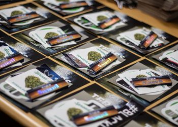 Vom Start‑up zum Platzhirsch: Donaulife setzt als Headshop neue Maßstäbe