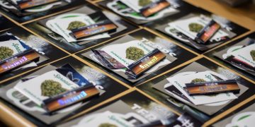 Vom Start‑up zum Platzhirsch: Donaulife setzt als Headshop neue Maßstäbe