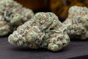 Medizinalcannabis Strain Review: Cannamedical Sativa ultra NM - Polar Cookies