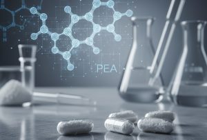 PEA: Das unterschätzte Molekül im Endocannabinoidsystem