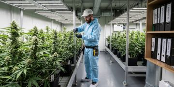 Arbeitsschutz & Qualität im Cannabis Social Club