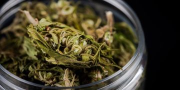 Deutschland knackt die 200 Tonnen Marke