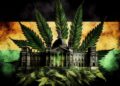 Bilanz der Legalisierung: Ein ehrlicher Blick auf das Cannabisgesetz