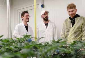 Green Valley Club: legal & zentral in Berlin