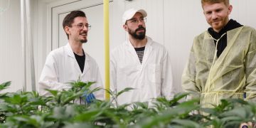 Green Valley Club: legal & zentral in Berlin