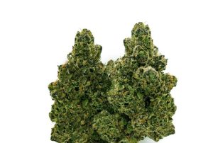 Wedding Tree: Die fruchtig-vitale Symbiose aus Nordmazedonien