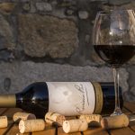 Der Sucht auf der Spur: Wie Alkohol das Endocannabinoidsystem dauerhaft verändert