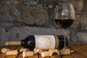 Der Sucht auf der Spur: Wie Alkohol das Endocannabinoidsystem dauerhaft verändert