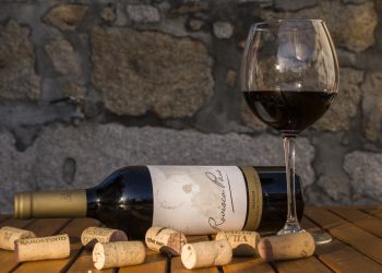 Der Sucht auf der Spur: Wie Alkohol das Endocannabinoidsystem dauerhaft verändert