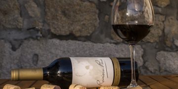 Der Sucht auf der Spur: Wie Alkohol das Endocannabinoidsystem dauerhaft verändert