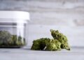 CBD-reiche Cannabisextrakte und Dronabinol im Vergleich