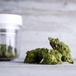CBD-reiche Cannabisextrakte und Dronabinol im Vergleich