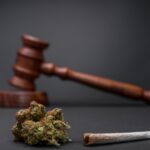 Cannabis-Legalisierung Deutschland: Alles zum CanG 2026