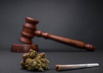 Cannabis-Legalisierung Deutschland: Alles zum CanG 2026