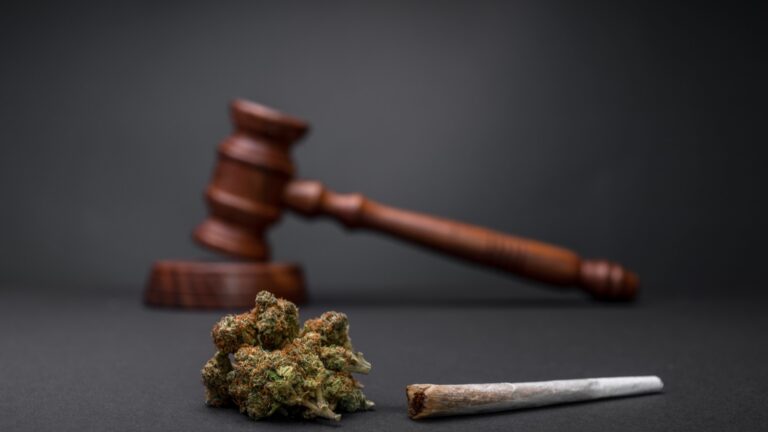 Cannabis-Legalisierung Deutschland: Alles zum CanG 2026