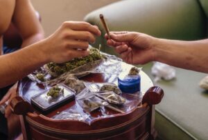 BKA-Präsident: Cannabis-Schwarzmarkt ist trotz Legalisierung ungebrochen