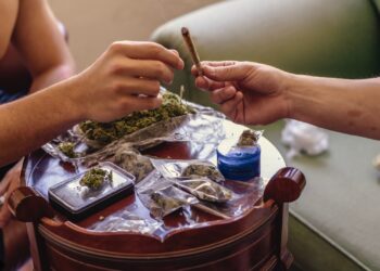 Cannabis-Schwarzmarkt ist trotz Legalisierung ungebrochen