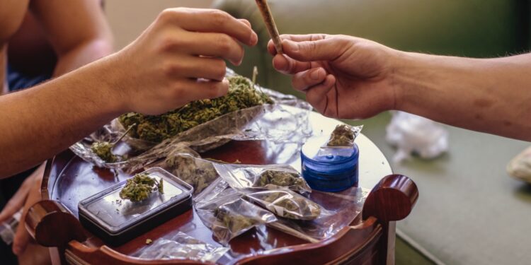 Cannabis-Schwarzmarkt ist trotz Legalisierung ungebrochen