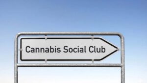 Wie viele Cannabis-Clubs gibt es in Deutschland? Warum die Zahlen weit auseinandergehen