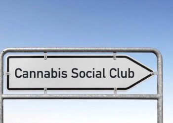 Wie viele Cannabis-Clubs gibt es in Deutschland? Warum die Zahlen weit auseinandergehen