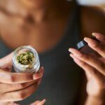 Cannabis-Sorten: Der große Sortenguide 2026