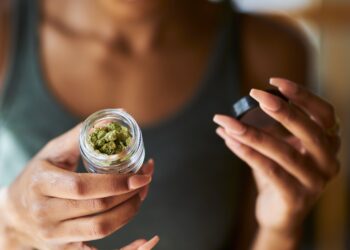 Cannabis-Sorten: Der große Sortenguide 2026