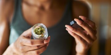 Cannabis-Sorten: Der große Sortenguide 2026