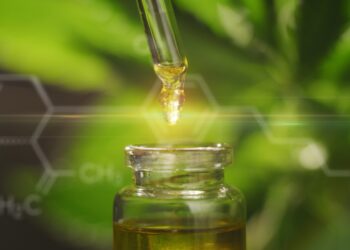 Das Endocannabinoid-System erklärt
