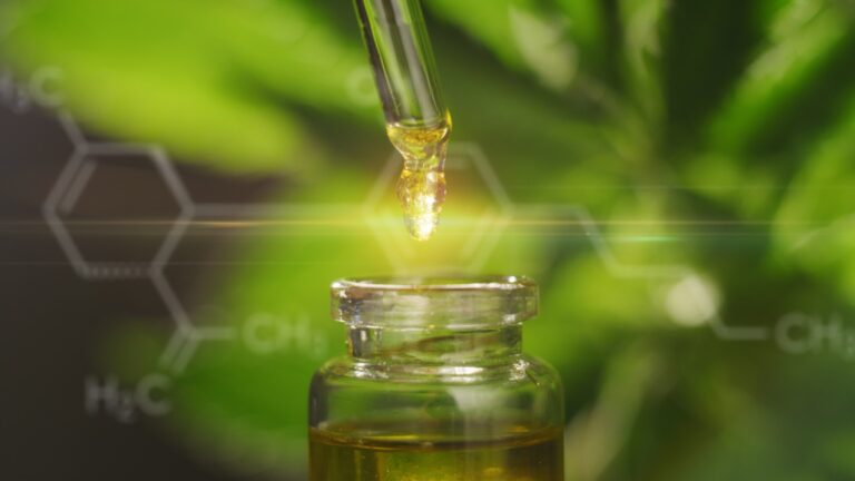 Das Endocannabinoid-System erklärt