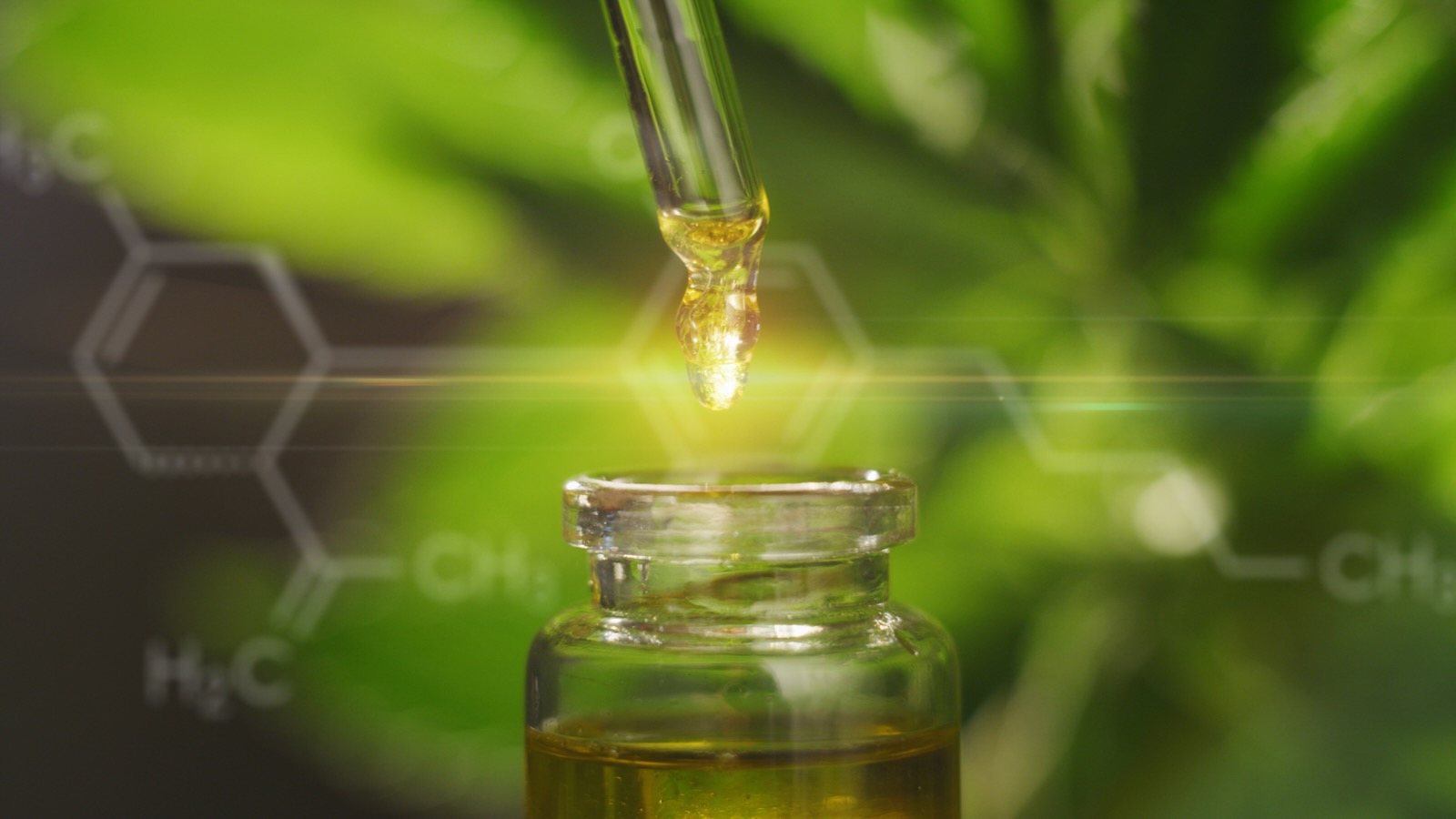 Das Endocannabinoid-System erklärt