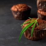 Die Hanf-Küche: Der komplette Guide für kreatives Kochen