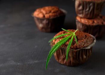 Die Hanf-Küche: Der komplette Guide für kreatives Kochen