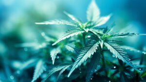 Entourage-Effekt erklärt: Warum Terpene wichtiger sind als THC