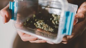 GKV soll Cannabis-Blüten nicht mehr erstatten: Was das für Patienten bedeutet