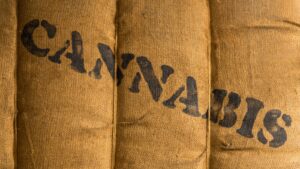 Kanada exportiert 62 Prozent seiner Cannabis-Blüten nach Deutschland