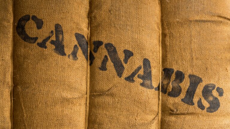 Kanada exportiert 62 Prozent seiner Cannabis-Blüten nach Deutschland