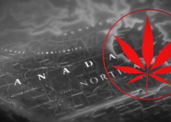 Kanada meldet Rekordumsatz bei Hanfprodukten