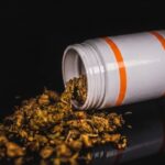 Medizinalcannabis statt Opioide: 3.500 Patienten, ein klares Ergebnis