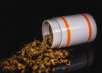 Medizinalcannabis statt Opioide: 3.500 Patienten, ein klares Ergebnis