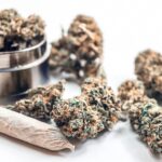 CanG-Zwischenbericht April 2026: Was die Legalisierung wirklich mit dem Schwarzmarkt macht