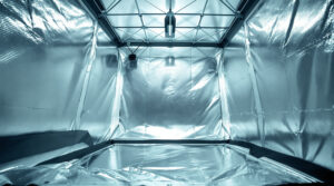 Growbox einrichten: Equipment, Setup und Kosten