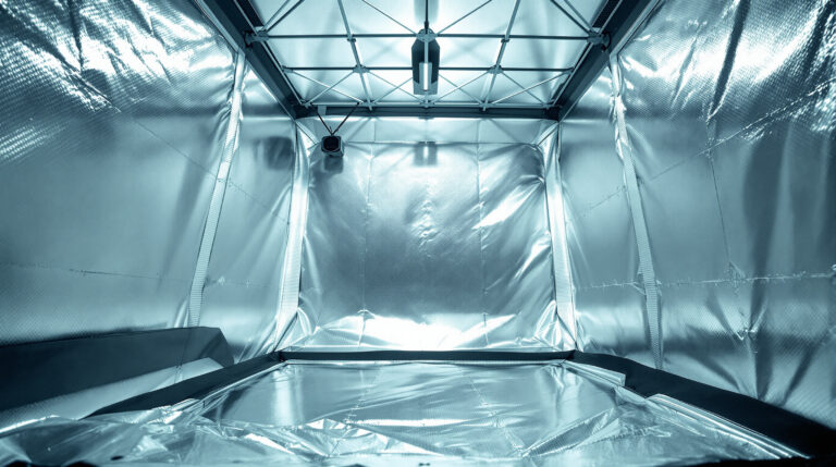 Growbox einrichten: Equipment, Setup und Kosten