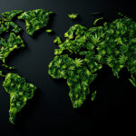 Cannabis International: Der komplette Guide 2026