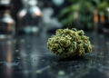 Cannabis-Blüte auf dunklem Labor-Untergrund mit wissenschaftlicher Ausstattung